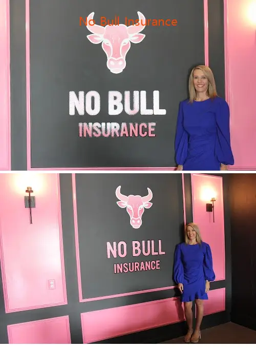 No Bull Insurance