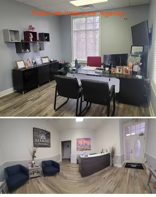 Platinum Insurance Agency