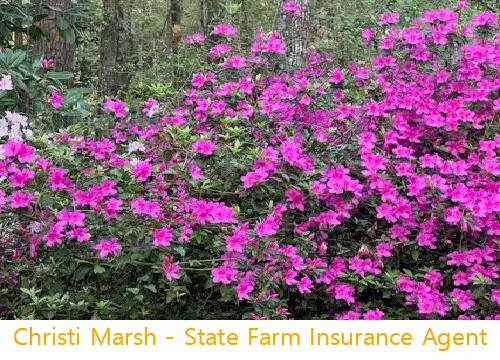 Christi Marsh - State Farm Insurance Agent
