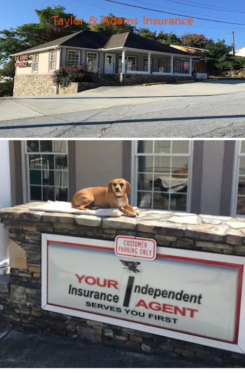 Taylor & Adams Insurance