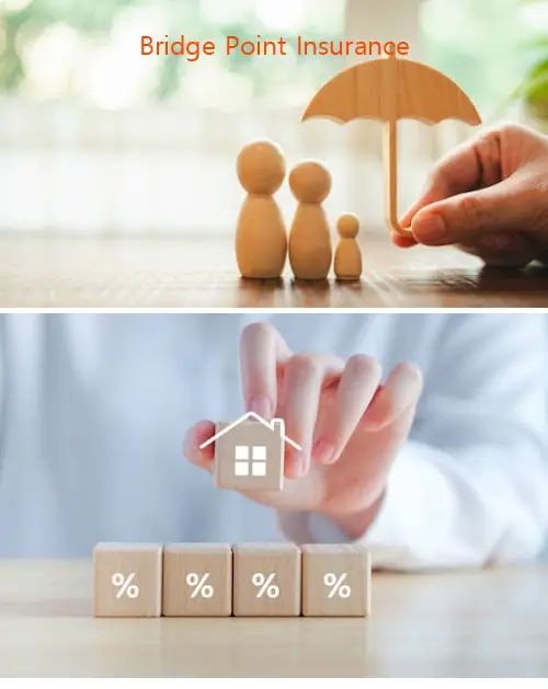 Bridge Point Insurance