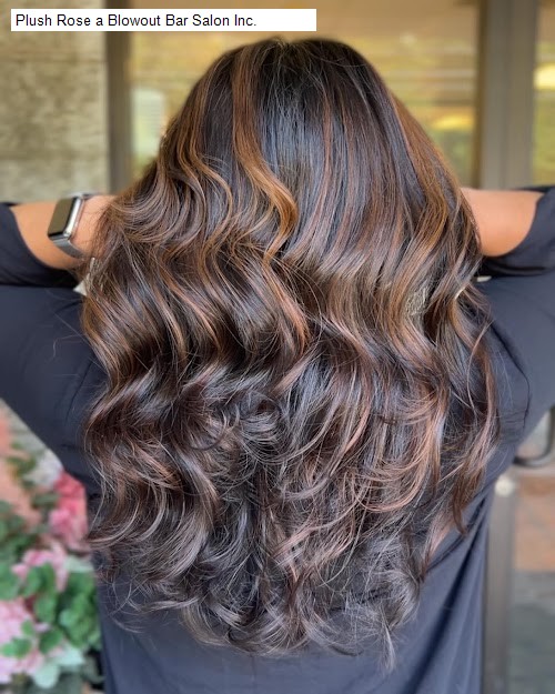 Plush Rose a Blowout Bar Salon Inc.