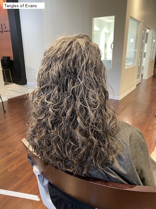 Tangles of Evans