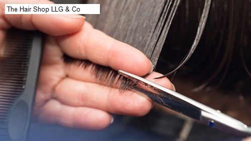 The Hair Shop LLG & Co