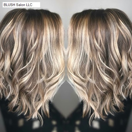 BLUSH Salon LLC