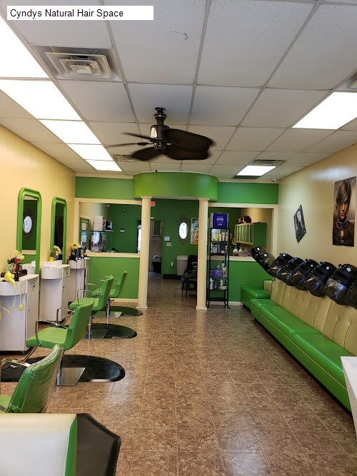Cyndys Natural Hair Space