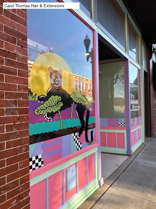 Carol Thomas Hair & Extensions