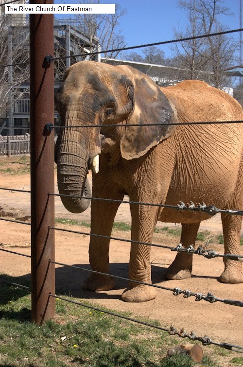 The River Church Of Eastman