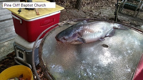 Pine Cliff Baptist Church