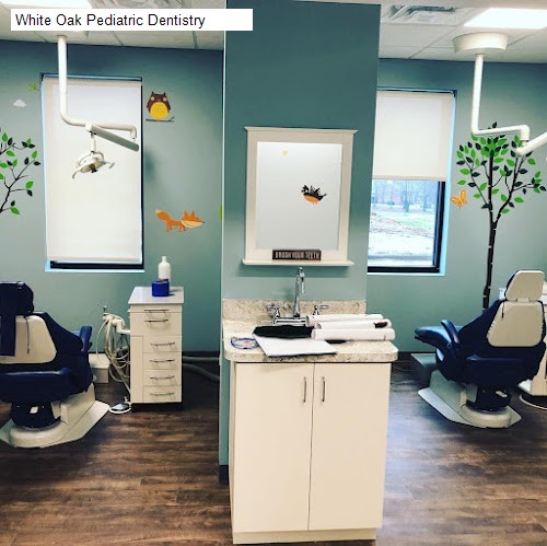 White Oak Pediatric Dentistry - carrollton