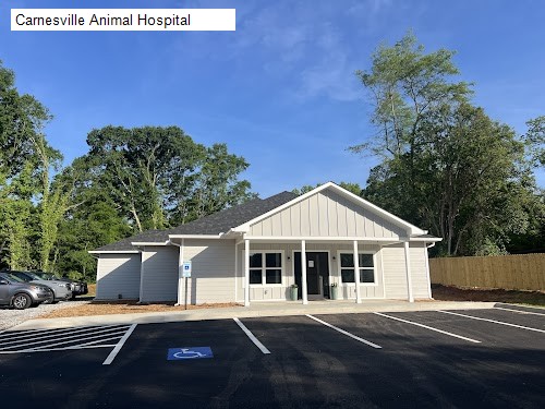 Carnesville Animal Hospital