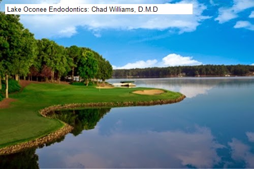 Lake Oconee Endodontics: Chad Williams, D.M.D