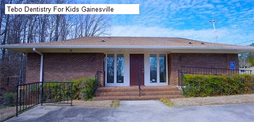 Tebo Dentistry For Kids Gainesville