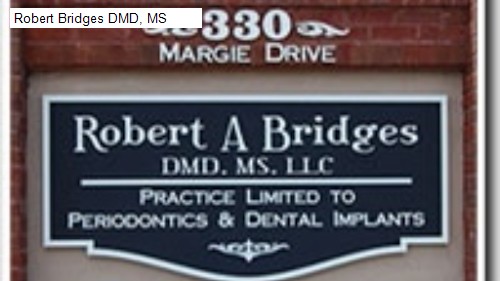 Robert Bridges DMD, MS