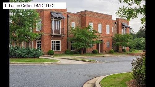 T. Lance Collier DMD, LLC