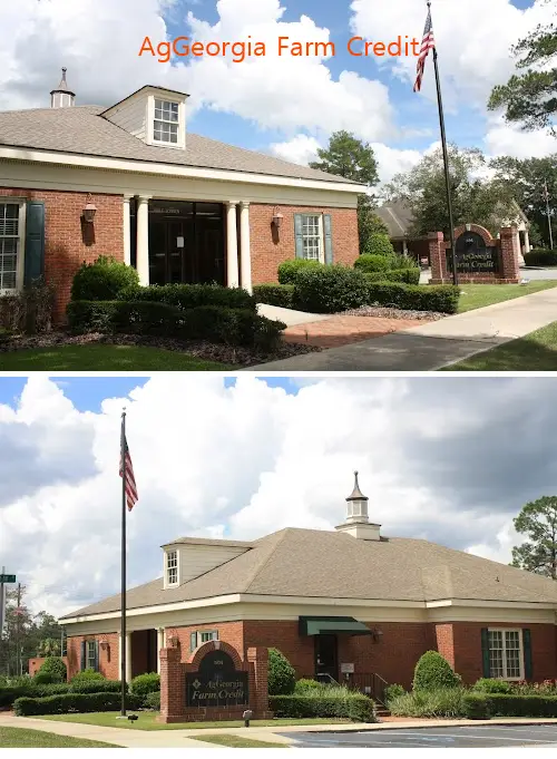 AgGeorgia Farm Credit