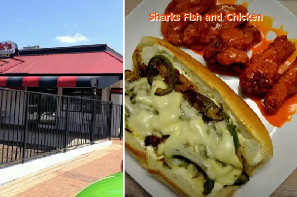 Sharks Fish and Chicken