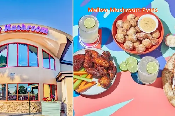 Mellow Mushroom Evans