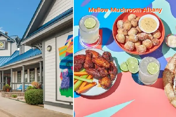 Mellow Mushroom Albany