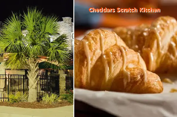 Cheddars Scratch Kitchen