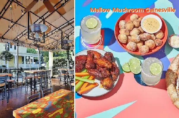 Mellow Mushroom Gainesville