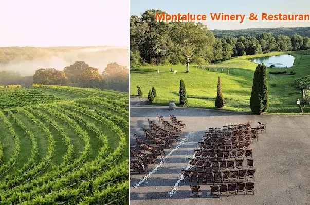 Montaluce Winery & Restaurant