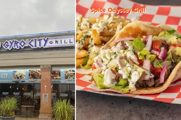 Spice Odyssey Grill