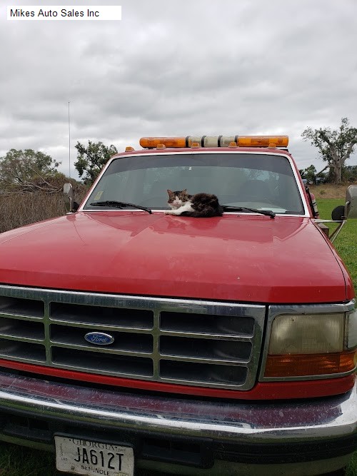 Mikes Auto Sales Inc