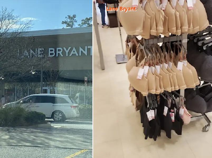 Lane Bryant