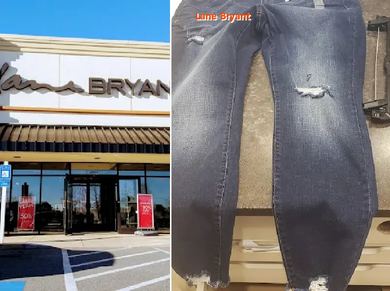 Lane Bryant