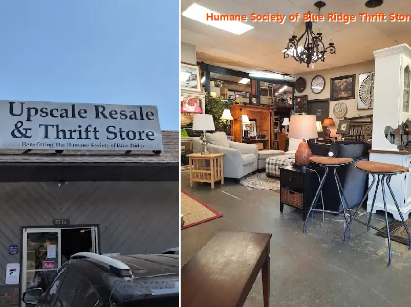 Humane Society of Blue Ridge Thrift Store