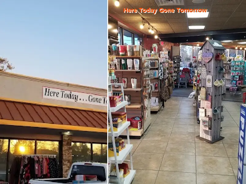 Here Today Gone Tomorrow