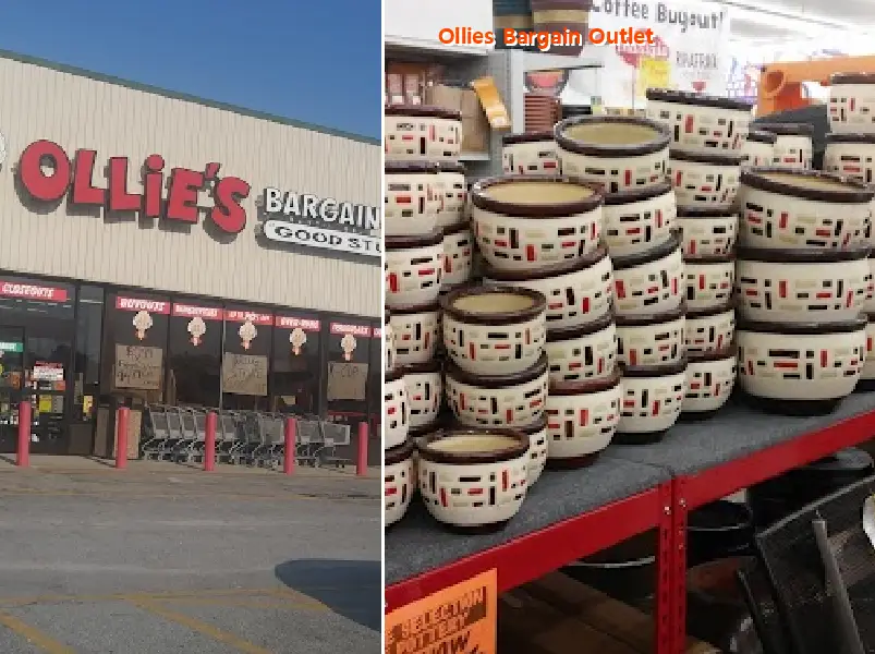 Ollies Bargain Outlet
