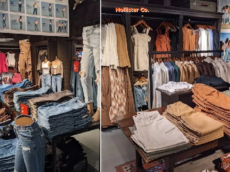 Hollister Co.