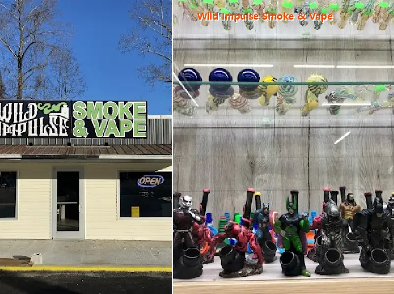 Wild Impulse Smoke & Vape