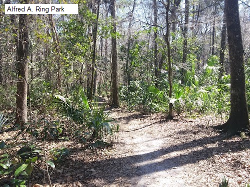 Alfred A. Ring Park