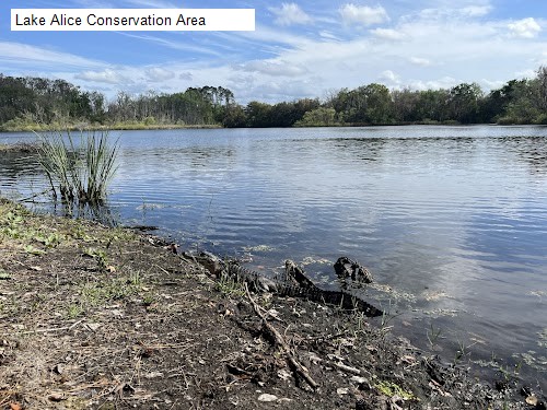 Lake Alice Conservation Area