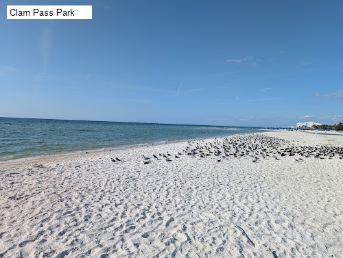 Clam Pass Park