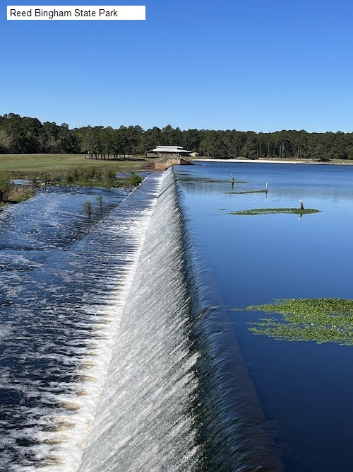 Reed Bingham State Park