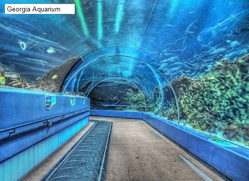 Georgia Aquarium