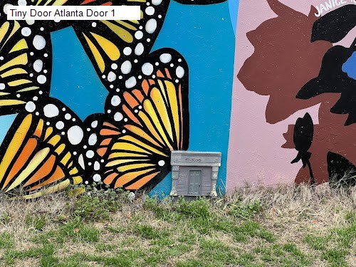 Tiny Door Atlanta Door 1