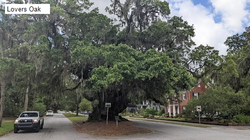 Lovers Oak