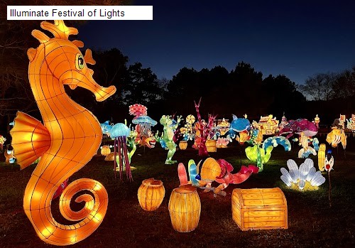 Illuminate Festival of Lights