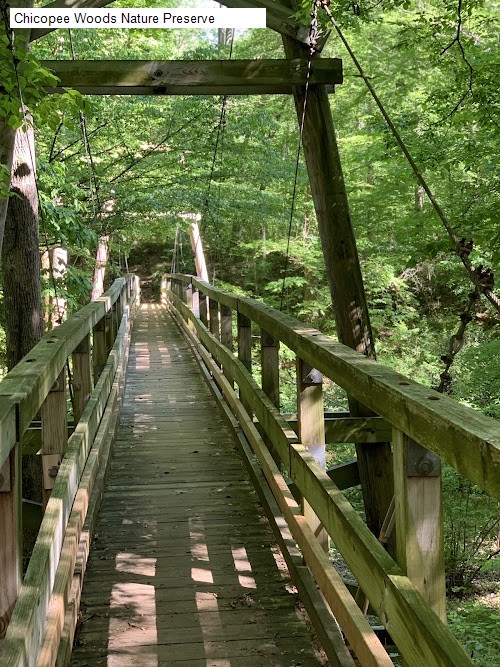 Chicopee Woods Nature Preserve