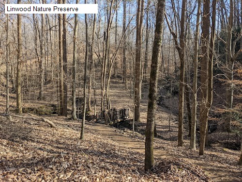 Linwood Nature Preserve