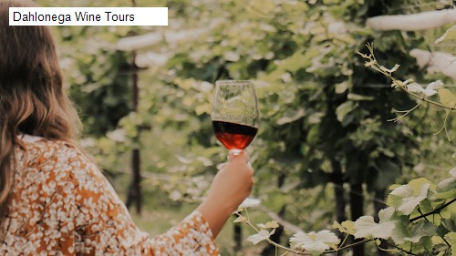 Dahlonega Wine Tours